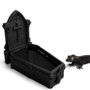 May include: A matte black, coffin-shaped reptile water dish featuring a tombstone-style backrest with a raised cross and skull accents. A small, dark-colored gecko with light-colored eyes is positioned next to the basin.