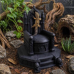 May include: A black, gothic-style throne featuring intricate architectural details, pointed arches, and skull accents at the base. A yellow and black spotted leopard gecko is positioned vertically against the backrest of the throne.