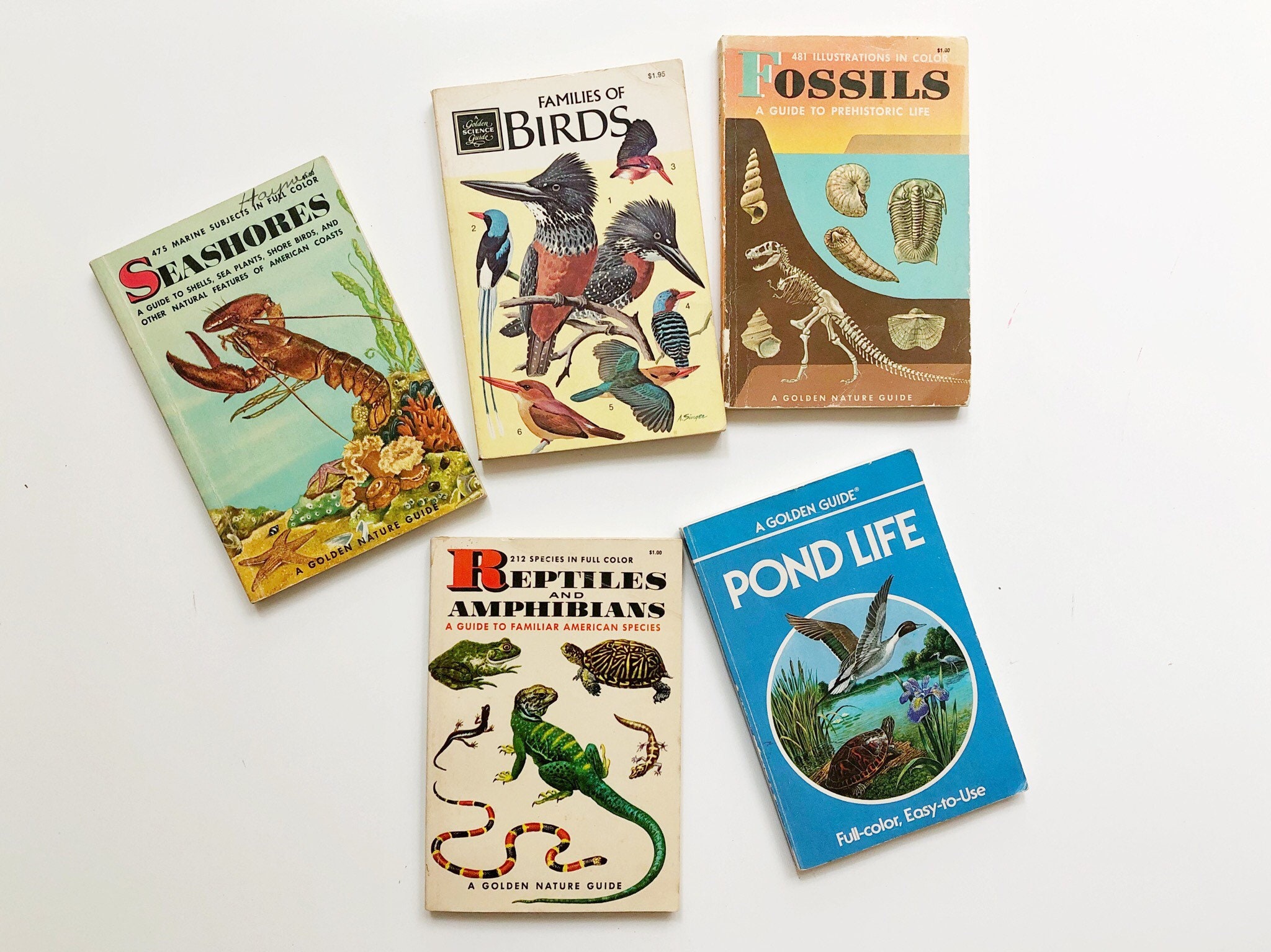 vintage-golden-guide-book-collection