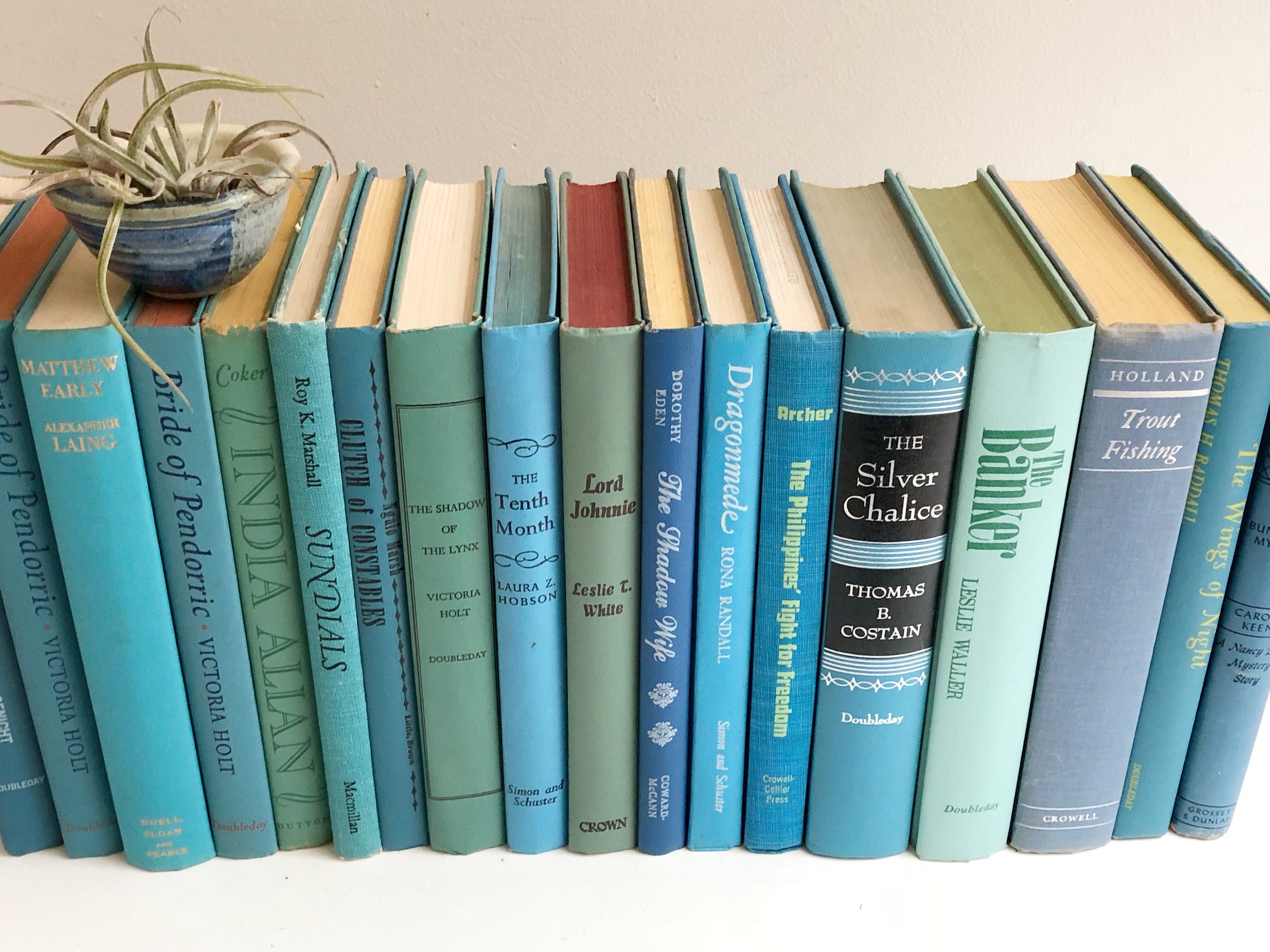 Collection of Vintage Blue Hardback Books