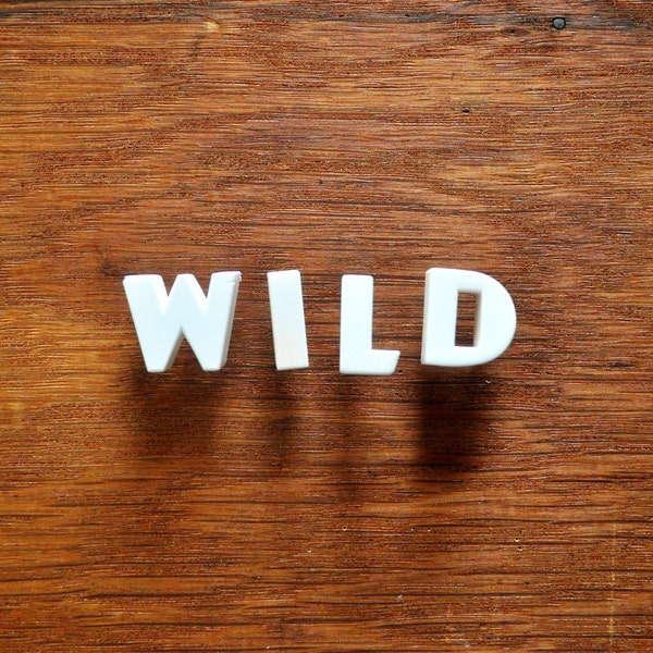 WILD - Vintage Ceramic Push Pins