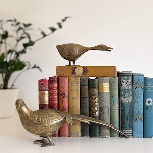 Pair of Vintage Brass Birds
