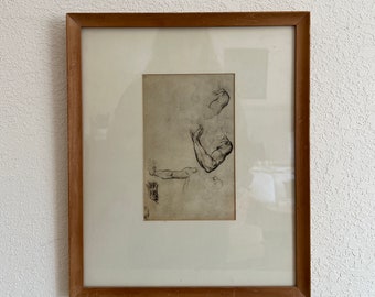 Framed “Study of Adam” Print by Michelangelo