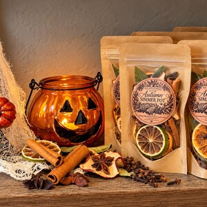 May include: A white ghost figurine holding a small orange pumpkin, an orange glass jack-o'-lantern candle holder, and two kraft paper pouches labeled Autumn Simmer Pot containing dried citrus slices, cinnamon sticks, and spices.