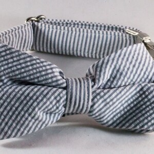 seersucker bow tie dog collar