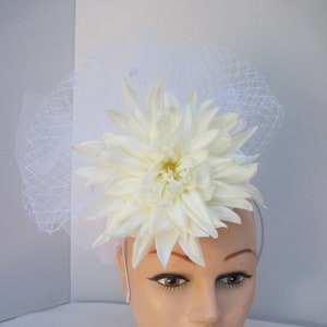 Tilted White Mum with Millinery Netting Fascinator