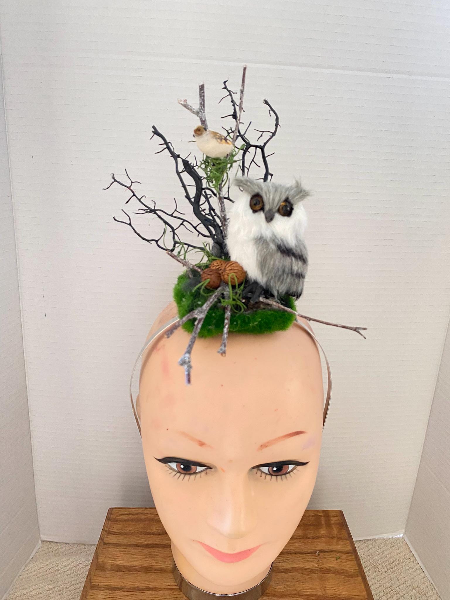 Furry Black Eyed Owl with Branches & Nuts