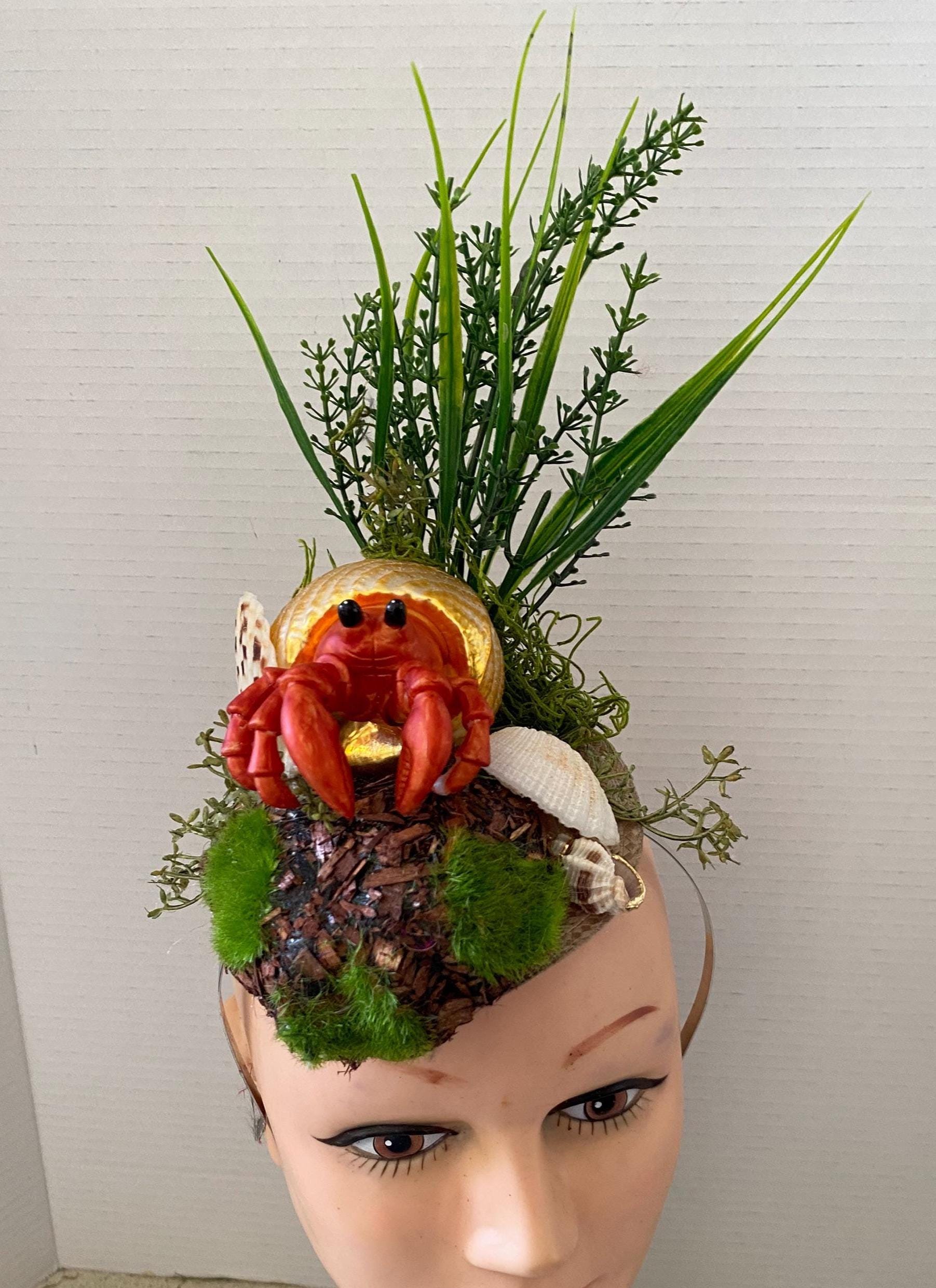 sea‘s song ハンドメイド　貝殻　王冠 Hermit Crab With Ocean Shells - Etsy