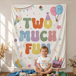 Two Much Fun 2nd Birthday Banner and T shirt, Personalized silk banner and T shirt, Colorful Second Birthday Party Decor, Photo Prop Sign
