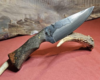 Buckeye Burl-demo