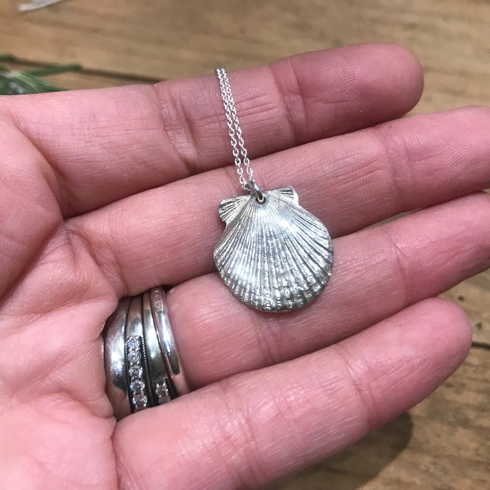 Conchita Sterling Silver Clam Shell Pendant Necklace Etsy