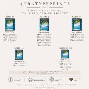 An informational sizing guide listing five different ratios and pixel dimensions for printing digital artwork.