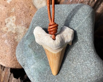 Shark Tooth Fossil and Leather Necklace