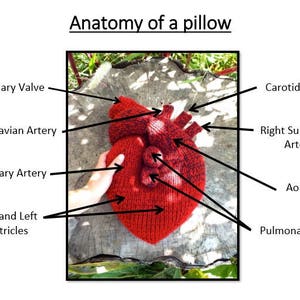 I Give You My Heart Pillow Knitting Pattern image 2