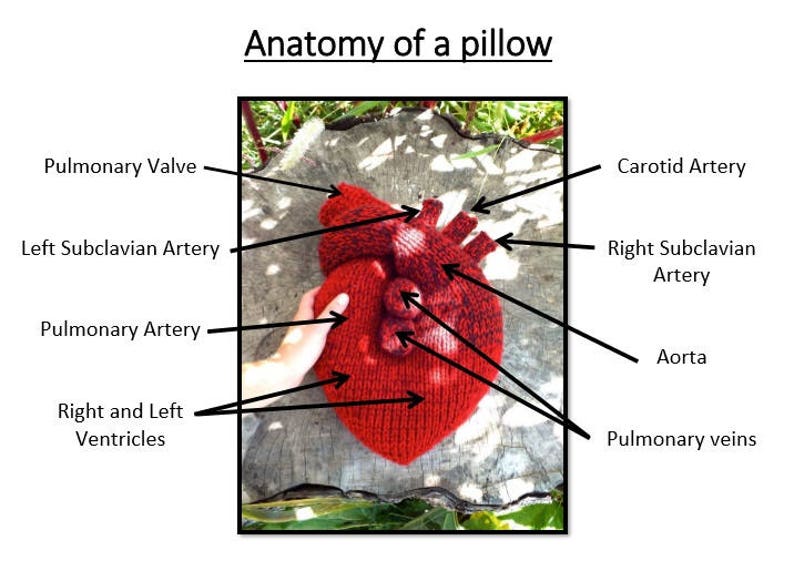 I Give You My Heart Pillow Knitting Pattern image 2
