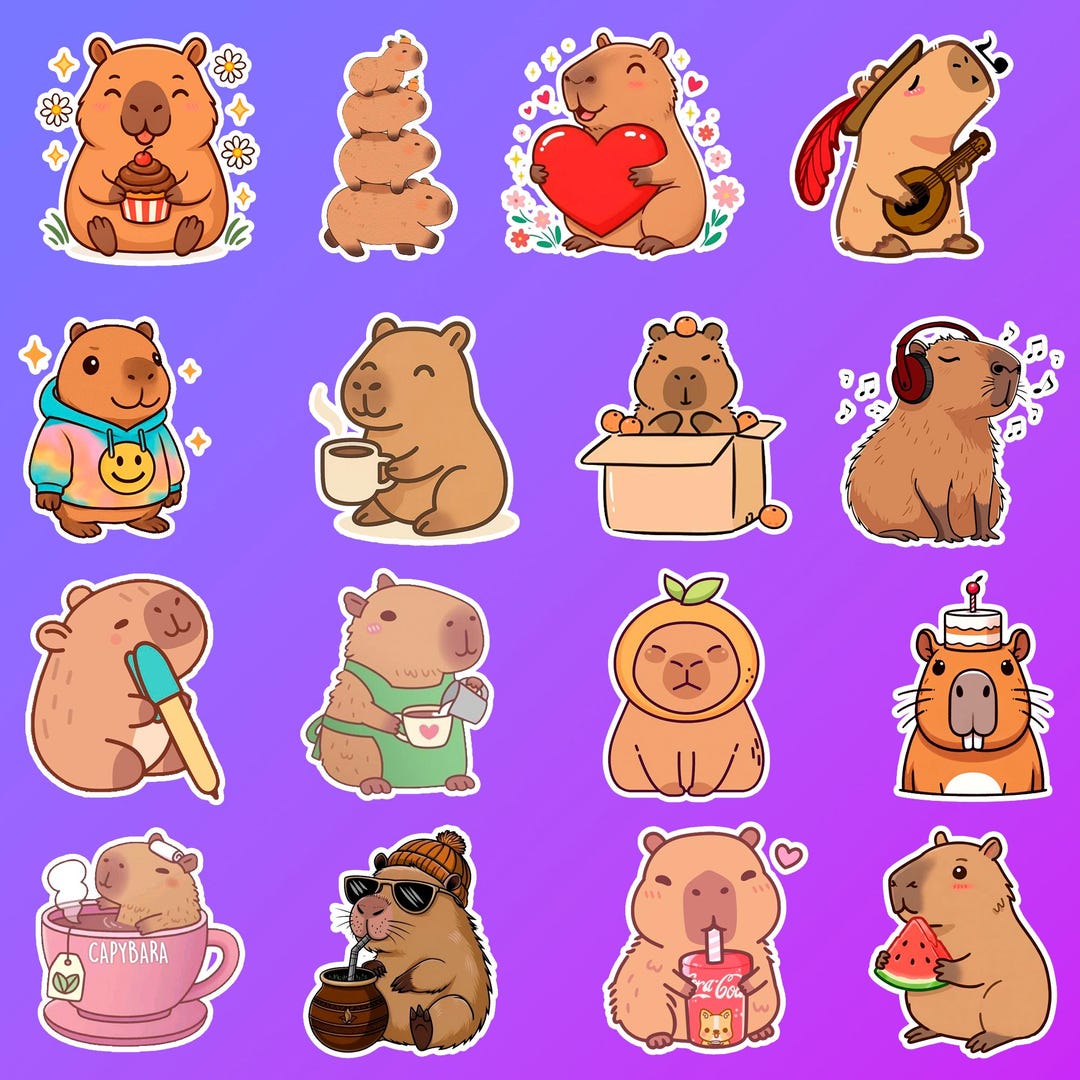 16 Pcs Capybara Sticker Pack Stickers Animal Lover Gift - Etsy