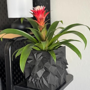 Lion Head Plant Pot | Modern Geometric Planter | Animal Home Decor | Unique Men’s Gift | Bold Sculpture Pot | Dude Pot