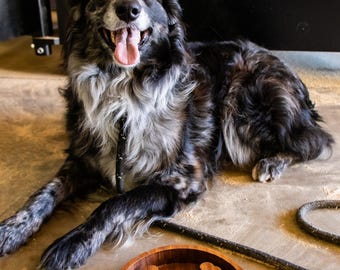 Rad-Cycled Dog Food Slow Feeder