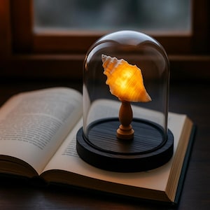 May include: A lit seashell displayed under a glass dome. The shell is mounted on a wooden stand and a black base, resting on an open book. The lighting is soft and warm, creating a cosy atmosphere.