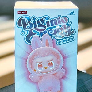 Pop Mart Labubu the Monsters - Etsy New Zealand