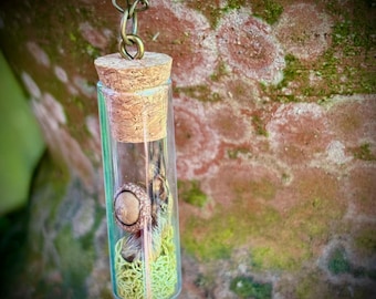 Bottled Squirrel Foot Acorn Necklace | Curiosities | Oddities | Taxidermy | Unique Jewelry |