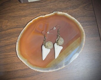 Deer Coffin Bones and Coins Earrings | Curiosities | Oddities | Taxidermy | Unique Jewelry |