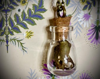 Bottled Fairy Necklace | Curiosities | Oddities | Butterfly Wing | Unique Jewelry |