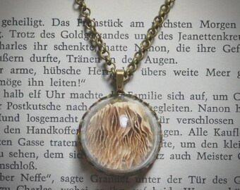 Glass Dome Mushroom Gill Necklace | Curiosities | Oddities | Dark Academia | Unique Jewelry |