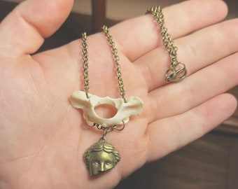 Raccoon Vertebrae Bone Necklace | Curiosities | Oddities | Animal Bones | Unique Jewelry |