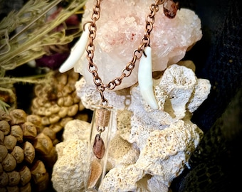Real Tooth and Moth Wing Necklace | Curiosities | Oddities | Animal Bones | Unique Jewelry |