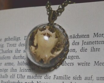 Glass Dome Rodent Skull Necklace | Curiosities | Oddities | Dark Academia | Unique Jewelry |