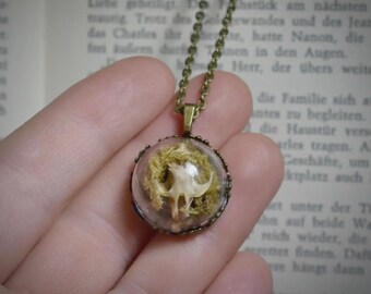 Glass Dome Rodent Skull Necklace | Curiosities | Oddities | Dark Academia | Unique Jewelry |