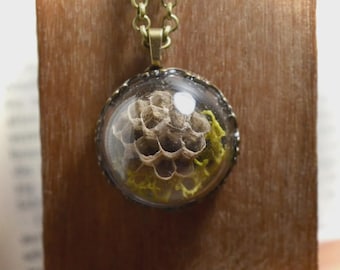 Glass Dome Wasp Nest Necklace | Curiosities | Oddities | Dark Academia | Unique Jewelry |