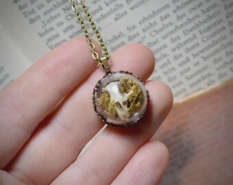 Glass Dome Rodent Skull Necklace | Curiosities | Oddities | Dark Academia | Unique Jewelry |
