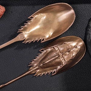 Könnte beinhalten: Zwei bronzefarbene Servierlöffel mit einem Pfeilschwanzkrebs-Design. Die Löffel haben einen langen, dünnen Stiel und eine detaillierte, strukturierte Schüssel. Im Hintergrund ist ein Tannenzapfen zu sehen. Die Löffel dienen wahrscheinlich zum Servieren von Speisen.