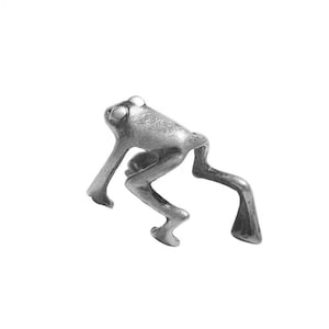 May include: A silver frog ornament in a crawling position. The frog has detailed features, including bulging eyes and textured skin. The legs are extended, and the design is minimalist.
