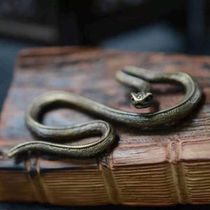 Puede incluir: Una figura de serpiente de bronce con escamas detalladas, colocada sobre un libro antiguo marrón y desgastado. La serpiente está enrollada, con la cabeza levantada. Destaca el contraste entre el metal y la textura del libro.