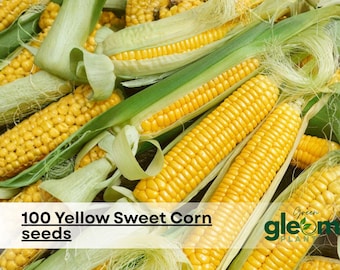 Enjoy The Sweetest Corn Seeds Around | Merit Seed