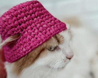 Beginner Crochet Cat Bucket Hat Pattern | Amigurumi Pet Accessory (PDF Download)