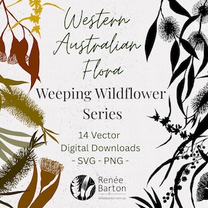 Op de afbeelding: Digitale download graphic met botanische illustraties van de West-Australische flora. Het ontwerp bevat de tekst "Western Australian Flora, Weeping Wildflower Series, 14 Vector Digital Downloads, SVG - PNG". Het kunstwerk is in tinten bruin, groen en zwart.