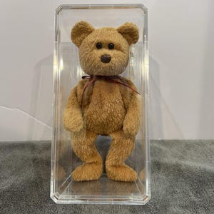 May include: A tan plush teddy bear with a textured, fuzzy surface, black plastic eyes, and a dark brown nose. The bear features a thin, dark red ribbon tied around its neck and is enclosed within a clear, rectangular acrylic display case.