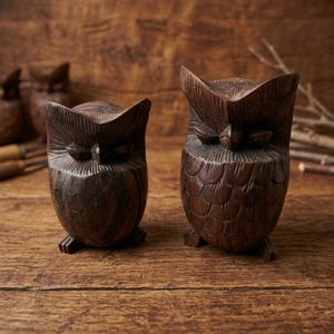 May include: Two dark brown hand-carved wooden owl figurines with detailed feather textures and pointed ear tufts. The owls are positioned side by side, displaying carved eyes and beaks, with a smooth finish on the wood grain surface.