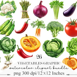 Può includere: Un grafico ad acquerello di varie verdure, tra cui ravanelli, cavolfiori, asparagi, cipolle rosse, sedano, melanzane, zucchine, peperoncini rossi, carote, broccoli, pomodori, cavolo, zucca e aglio. È incluso anche un cesto di verdure. Il testo recita "26 Vegetables Graphic Watercolor Clipart Bundle".