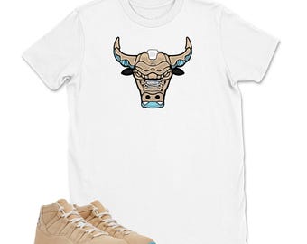 Shirt Matching AJ 11 H-Town Houston Match Sneaker Sneakerhead Bulls 23 T-Shirt, Jordan 11 H-Town Matching Sneaker Tee Shirt