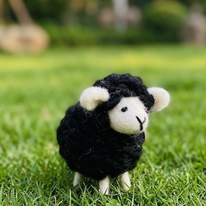 May include: A small needle-felted sheep figurine featuring a textured black wool body, a smooth white face, and small white ears. The sheep stands on four short white legs and has simple embroidered black thread details for eyes and a nose.