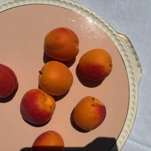 Peut inclure: Un plateau de service rond rose pâle avec un bord festonné de couleur crème contient sept abricots frais. Les abricots présentent un dégradé de couleurs allant de l'orange vif au rose rougeâtre profond, éparpillés sur la surface lisse et plate.