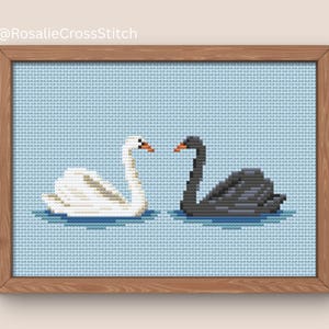 May include: Cross-stitch artwork of two swans, one white and one black, on a light blue background. The swans face each other, with orange beaks. The artwork is framed in a wooden frame. The text "@RosalieCrossStitch" is in the top left corner.