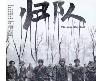 The Long Way Back (2025) DVD Chinese Drama Series English Subtitle Free Shipping