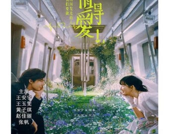 Such a Good Love (2025) DVD Chinese Drama Series English Subtitle Free Shipping