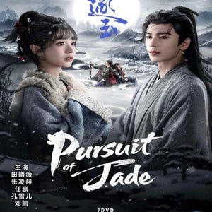 Pursuit of Jade (2026) DVD Chinese Drama Series English Subtitle Free Shipping